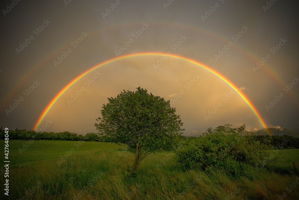 visiting cards / Business cards